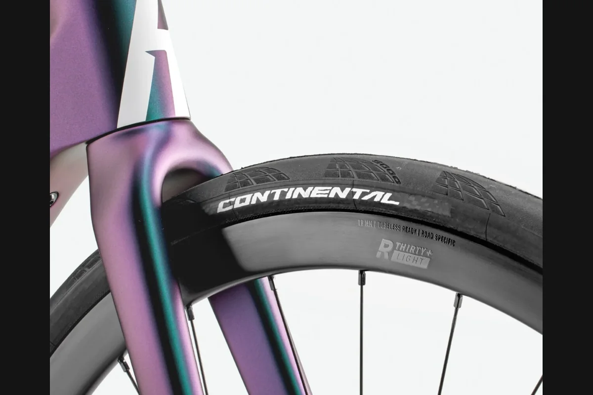 Rose Reveal Plus Ansicht 2